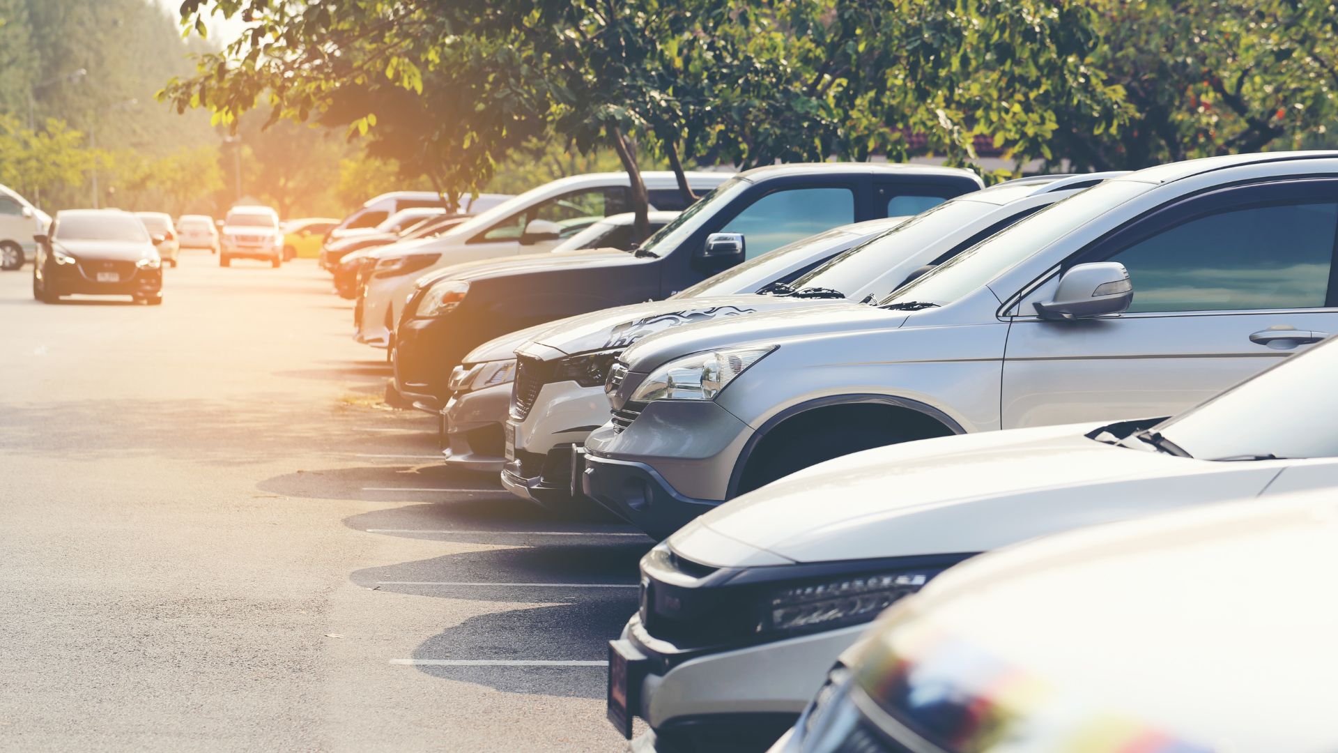 ALT描述: 戶外停車場中整齊停放的多輛汽車，陽光從樹葉縫隙灑落，背景環境充滿綠意。