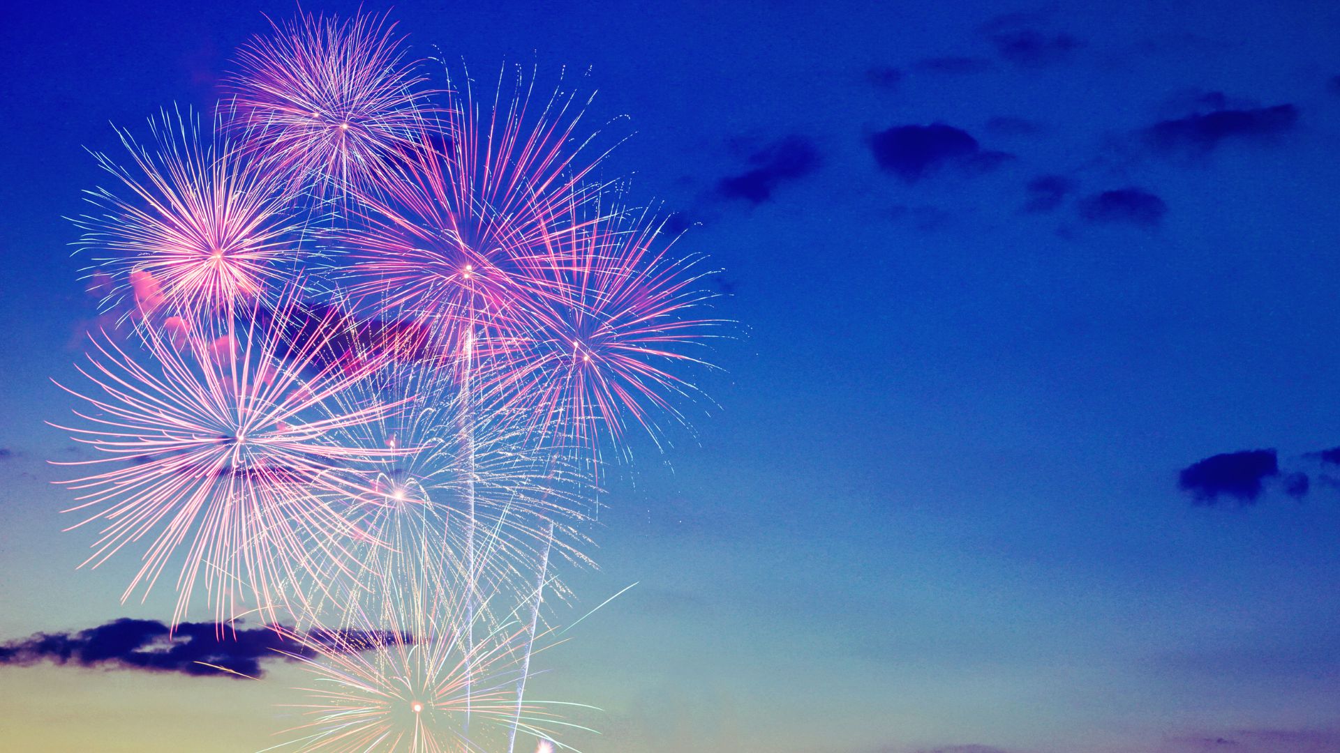 ALT�y�z: �Ŧ�]�Ť��X��������P�զ⪺�Ϥ����A�k���d���j���`�Ŧ�ѪŻP�}�������C